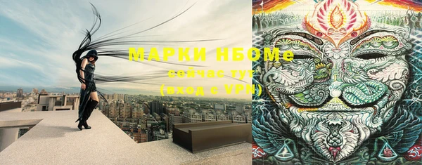 сатива Аркадак