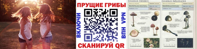 Галлюциногенные грибы прущие грибы  Радужный 