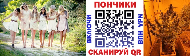 Конопля THC 21%  как найти закладки  Радужный 